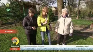 Działkowcy kontra włamywacze 