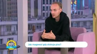 Jak się zachować, gdy atakuje nas pies? Porady behawiorysty