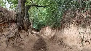 Kazimierz Dolny – co warto zobaczyć w mieście króla Kazimierza?