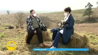 Hodowla ptaków ozdobnych. Jak długo wykluwa się pisklę?