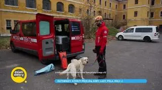 Gdy ktoś zaginie, oni ruszają z pomocą. Jak wygląda praca ratowników?