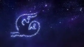 Znak Zodiaku - Koziorożec