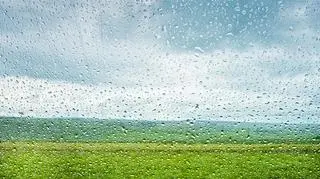 widok na pole przez szybę w deszczu
