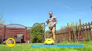 Jak pielęgnować trawnik na wiosnę?