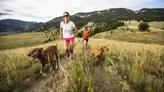 Para biega z dwoma psami w zielonych górach, jak zwiększyć motywację do biegania