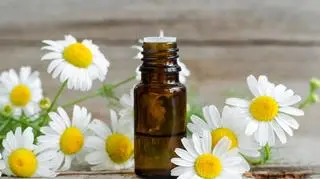 Olejek i kwaity rumianku 