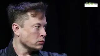 Elon Musk rozstał się z Grimes