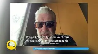 David Lynch zainspirował się Bartkiem Jędrzejakiem? Znany reżyser został prezenterem pogody | Dzień Dobry TVN