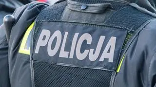 Polska policja