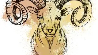 Znak Zodiaku - Baran