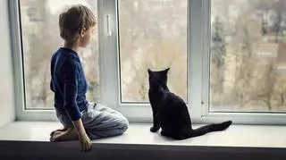 dziecko i kot patrzą przez okno 