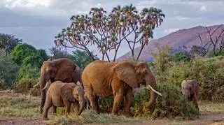  PhotoStock-Israel/Getty Images