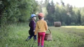 Dzieci zbierają grzyby w lesie