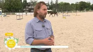 Pomorze i jego zwierzęce bogactwo w oczach Adama Wajraka