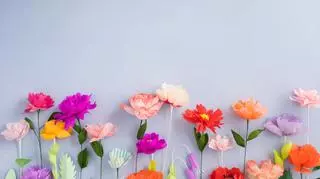 kolorowe kwiaty z bibuły na tle szarej ściany