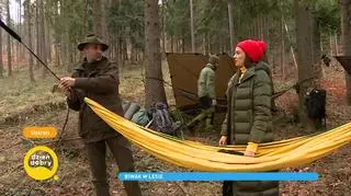 Biwakowanie w lesie jest coraz popularniejsze. Jak przygotować się do takiej wyprawy?