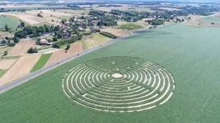 labirynt w kukurydzy Pisarzowice