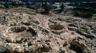 Oliver Strewe/Getty Images