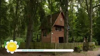 Uroczysko Święte Miejsce przyciąga wiernych nie tylko z Polski. Według legendy działy się tam cuda
