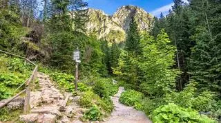 Tatry góry