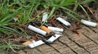 Niedopałki papierosów leżące na ulicy