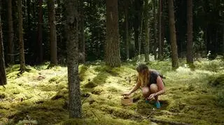 Kobieta zbiera grzyby w lesie