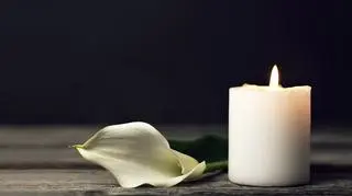 Kwiat i świeca