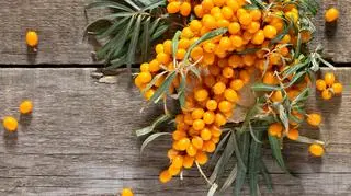 Owoce rokitnika na stole