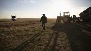 rolnik, pole, traktor