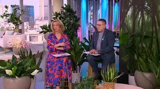 Bzik na punkcie papug