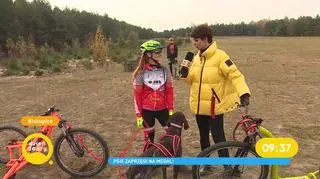 Psie zaprzęgi na medal