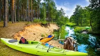 Bory Tucholskie na długi weekend