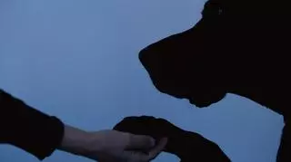 Pies trzymający łapę na dłoni człowieka