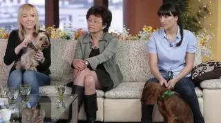 Kim jest petsitter?