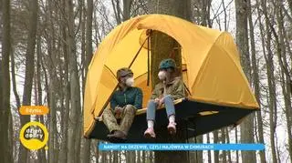 Namiot na drzewie - niezwykły projekt polskiego studenta: "Dla ludzi, którzy chcą przeżyć nieszablonowy nocleg"