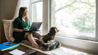 MoMo Productions/Getty Images