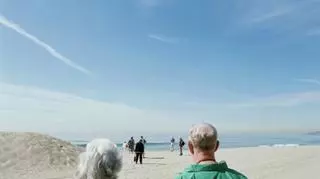 seniorzy na plaży tyłem