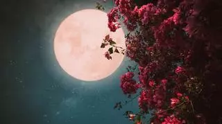 Pełnia różowego księżyca