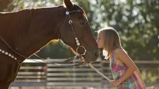 Dziewczynka całuje konia