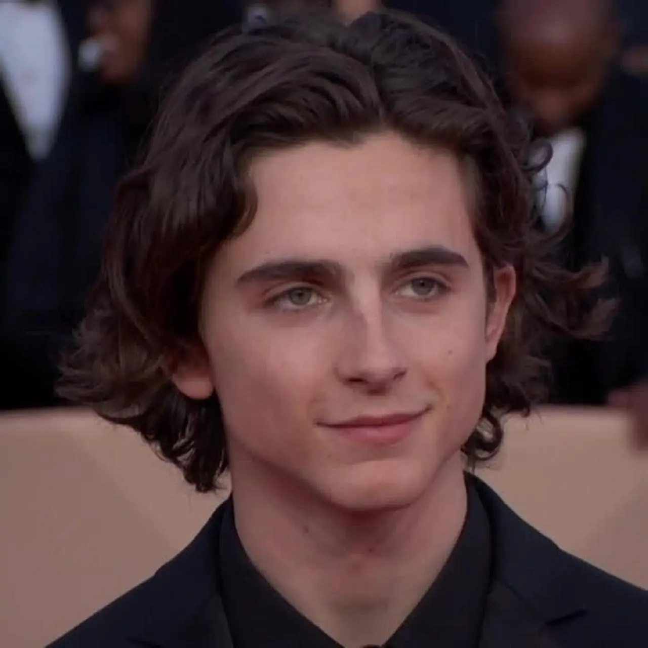 Timothée Chalamet ma nową dziewczynę. Kim jest Eiza Gonzalez? - Dzień Dobry  TVN