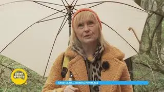 Dorota Pomykała o życiu na scenie. "Ja siebie nie nazywam aktorką, tylko człowiekiem"