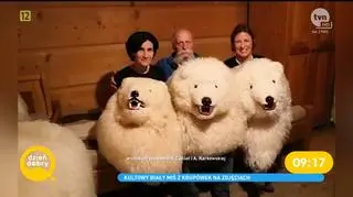 Biały miś z Krupówek ma już prawie 100 lat. W czasie wojny chętnie fotografowali się z nim niemieccy żołnierze