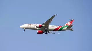 Londyn. Ciało pasażera wypadło z samolotu linii Kenya Airways do ogródka