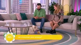 Jak zrozumieć i rozpoznać emocje psa? Behawiorysta wyjaśnia