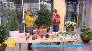 Jak rozebrać choinkę i nie zrobić przy tym bałaganu? Porady Mai Popielarskiej 