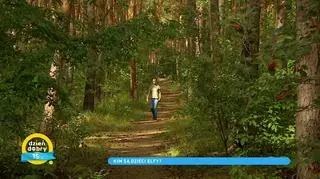 Zespół Williamsa, czyli dzieci-elfy. Co to za choroba? Jakie są jej charakterystyczne cechy?