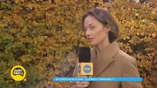 "Tajemnica zawodowa" - co wydarzy się w kolejnych odcinkach? Gdzie oglądać serial?