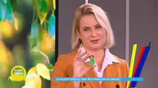 Co założyć dziecku, żeby było widoczne na drodze?