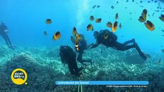 Piotr Wencka nurkuje choć nie może poruszać rękoma i nogami | Dzień Dobry TVN