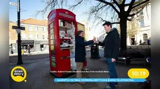 Drugie życie brytyjskich budek telefonicznych. Można je zaadoptować i urządzić na nowo
